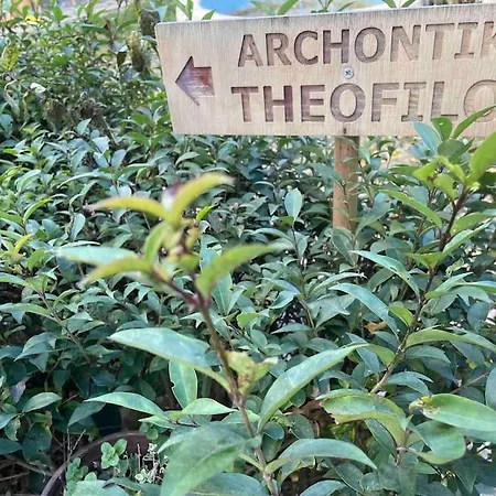 Archontiko Theofilou #2 With Private Parking Space